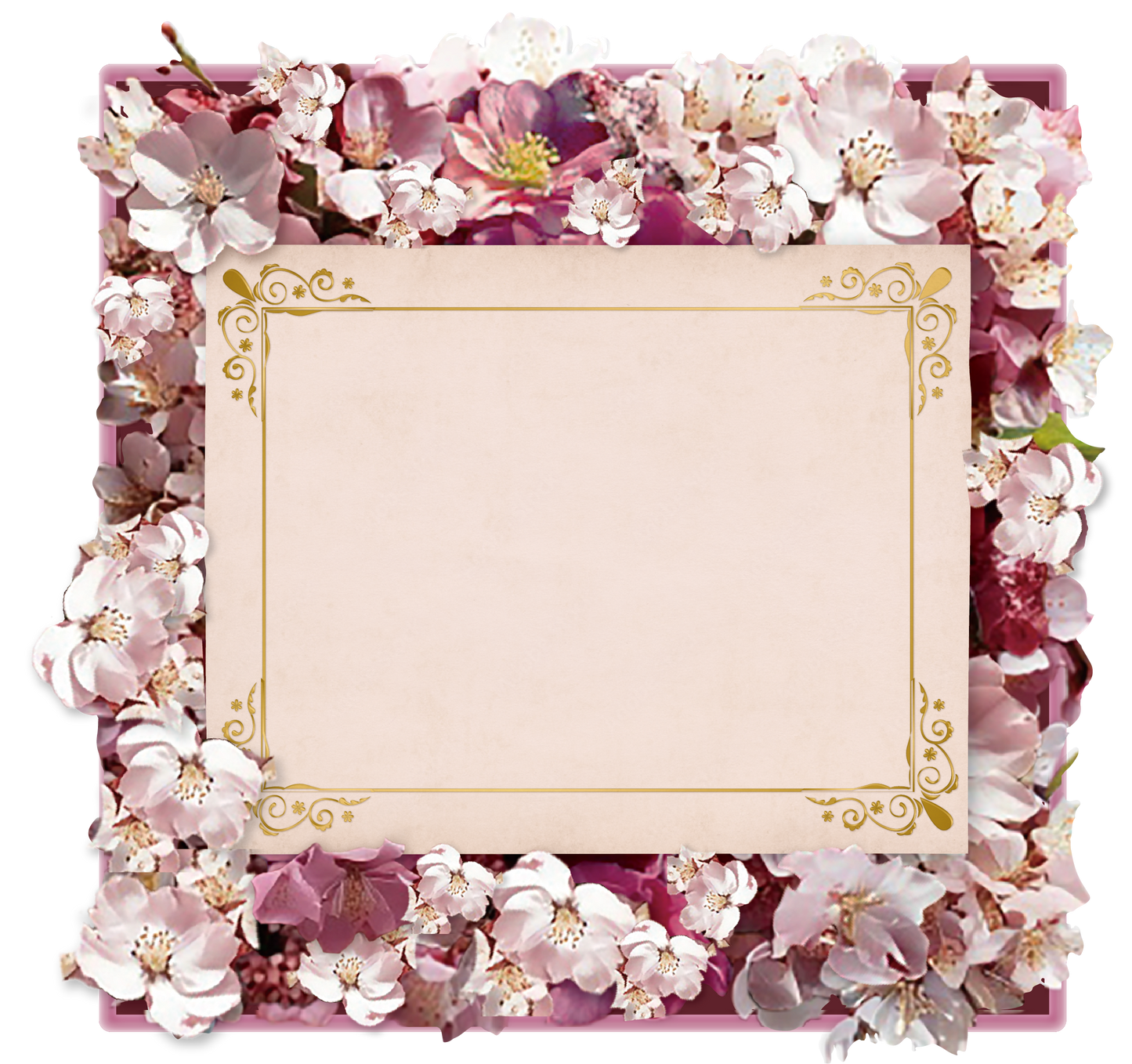 市川由紀乃デジタルお祝い花